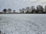 Sneeuwlaag bedekt sportpark 'Het Springer' (2/37)